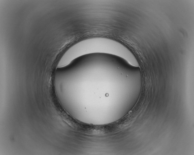 X0000112180308200908281407