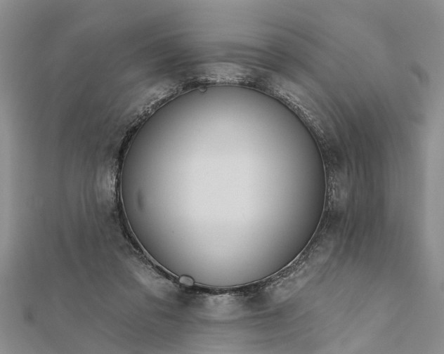 X0000112180309200908281407