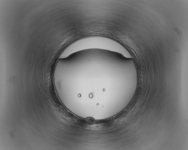 X0000112180312200908281407