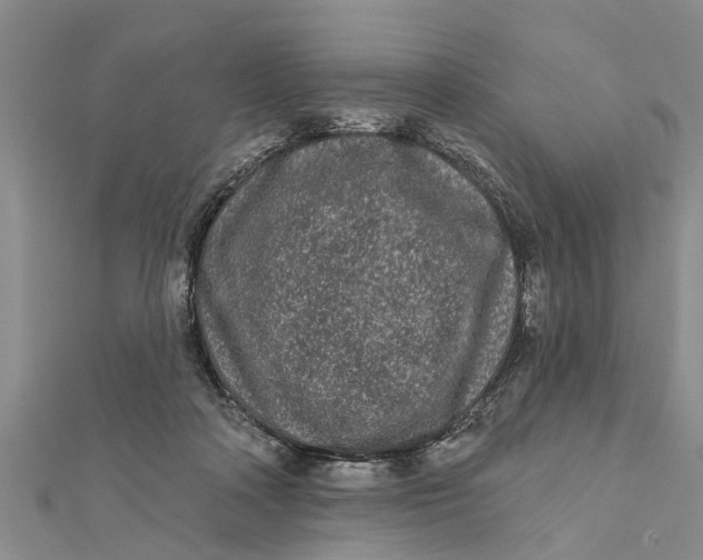 X0000112180314200908281407