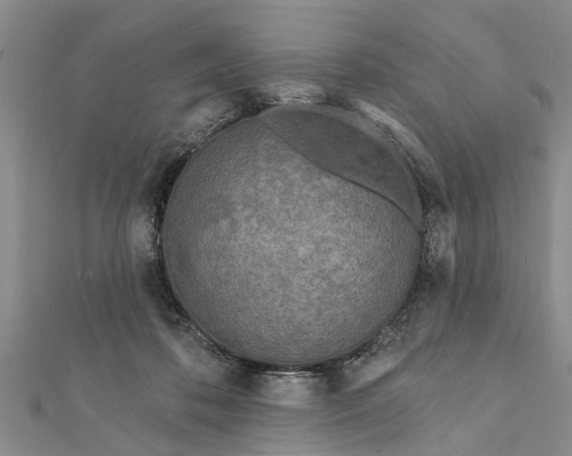 X0000112180316200908281407