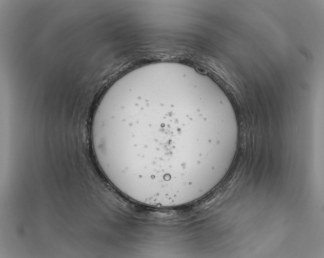 X0000112180317200908281407