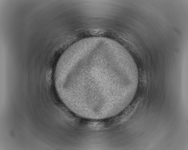 X0000112180319200908281407