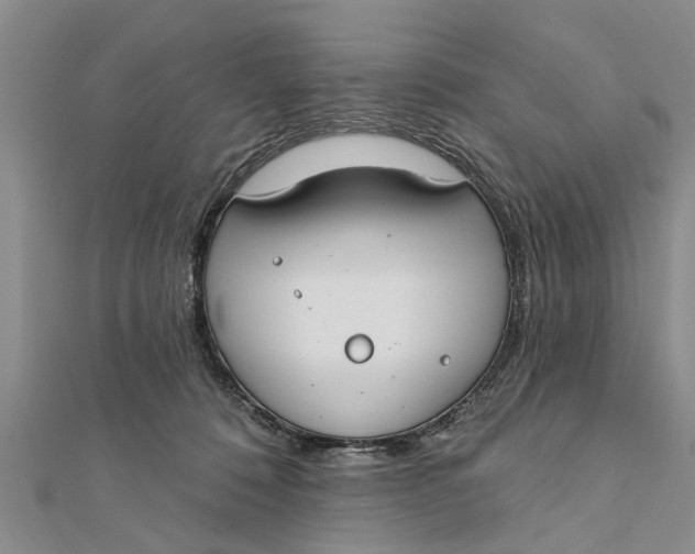 X0000112180320200908281407