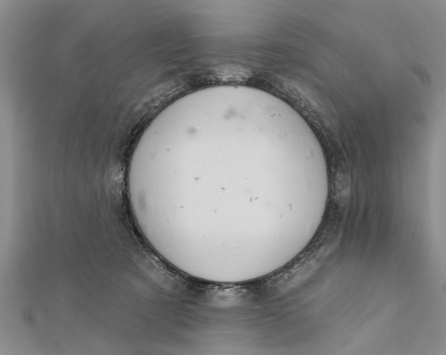 X0000112180321200908281407