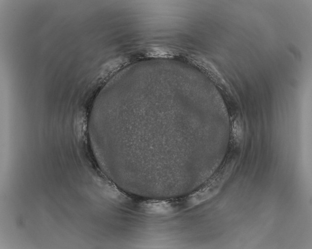 X0000112180322200908281407