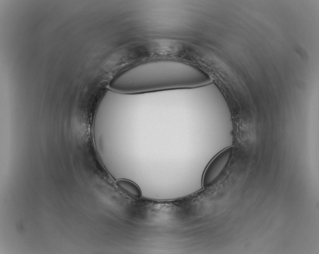 X0000112180324200908281407