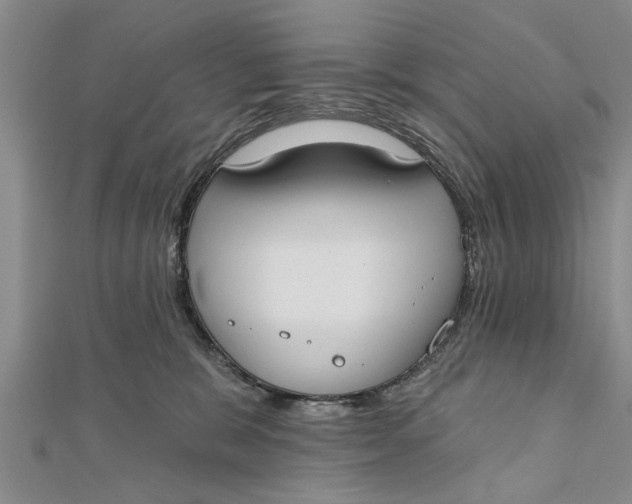 X0000112180327200908281407