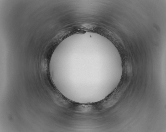 X0000112180328200908281407