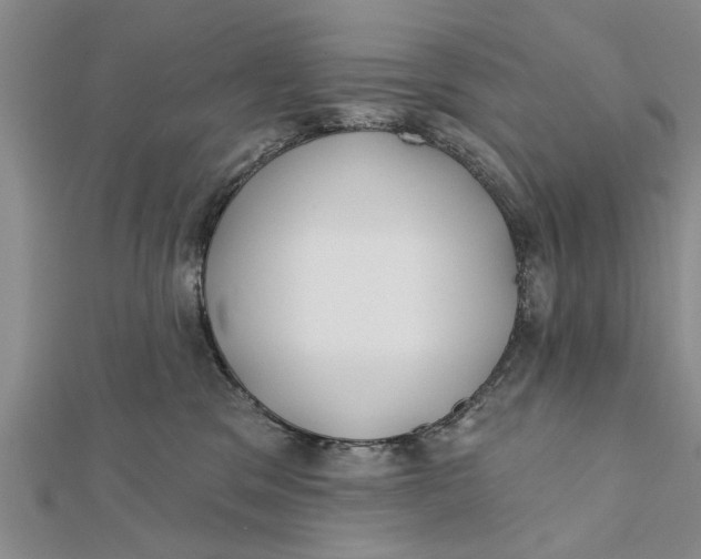 X0000112180329200908281407