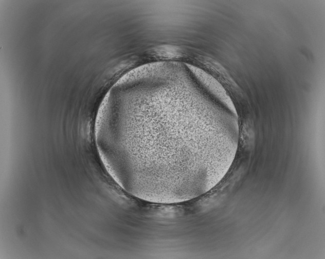 X0000112180330200908281407