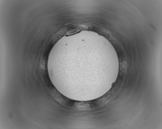 X0000112180331200908281407