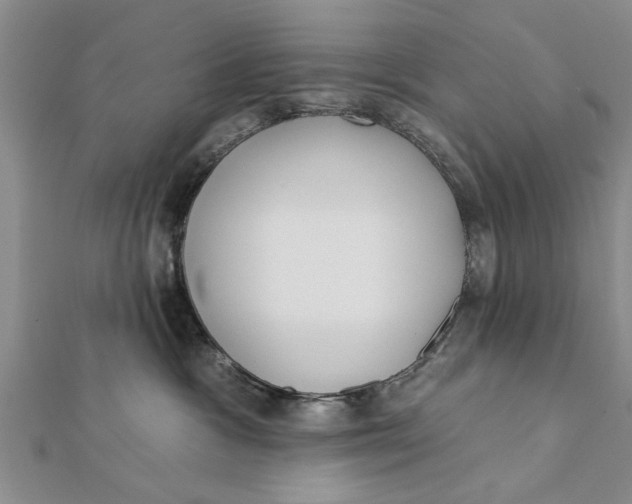 X0000112180333200908281407