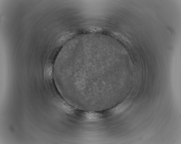 X0000112180336200908281407