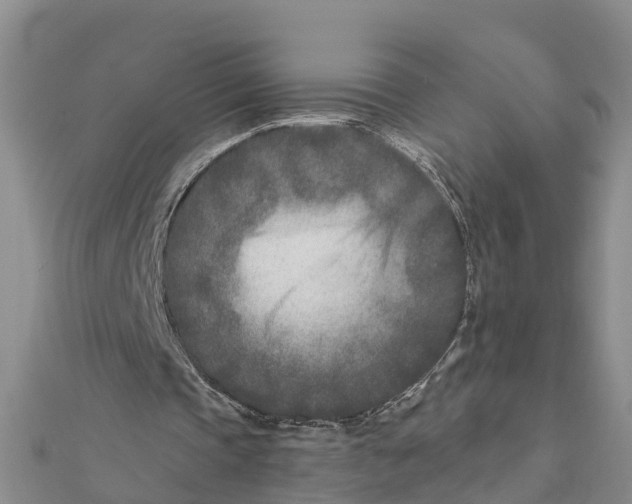 X0000112180337200908281406