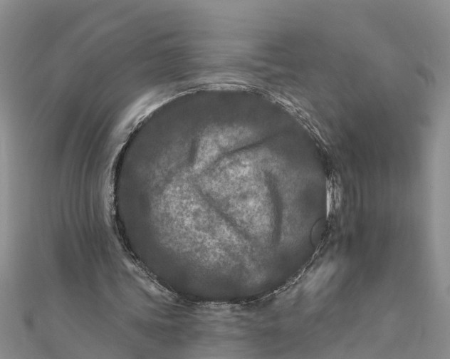 X0000112180339200908281406