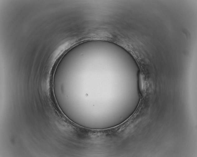 X0000112180340200908281406