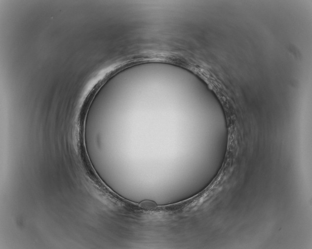 X0000112180342200908281406