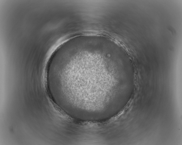 X0000112180343200908281406