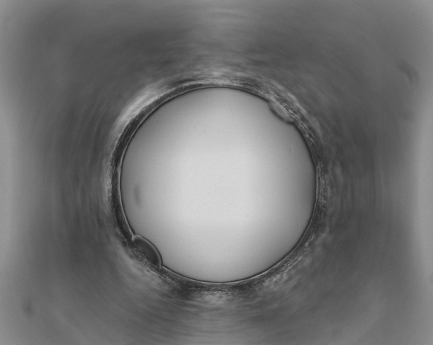 X0000112180344200908281406