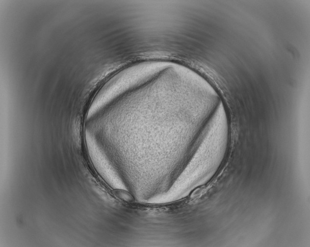 X0000112180345200908281406