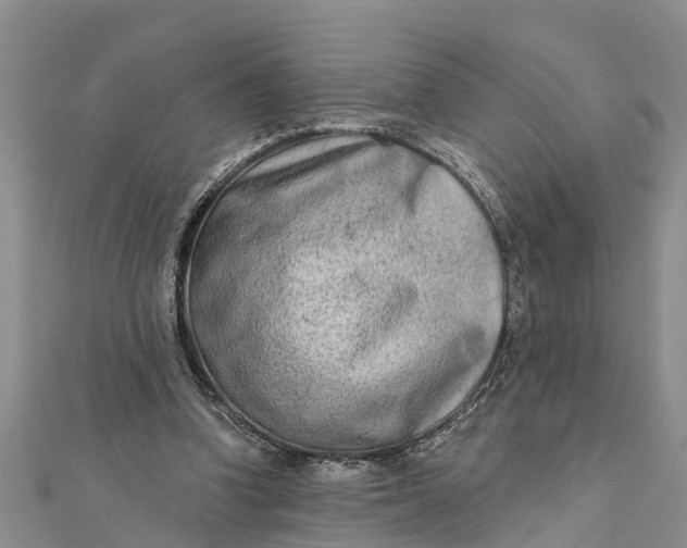 X0000112180346200908281406