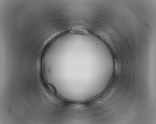 X0000112180348200908281406