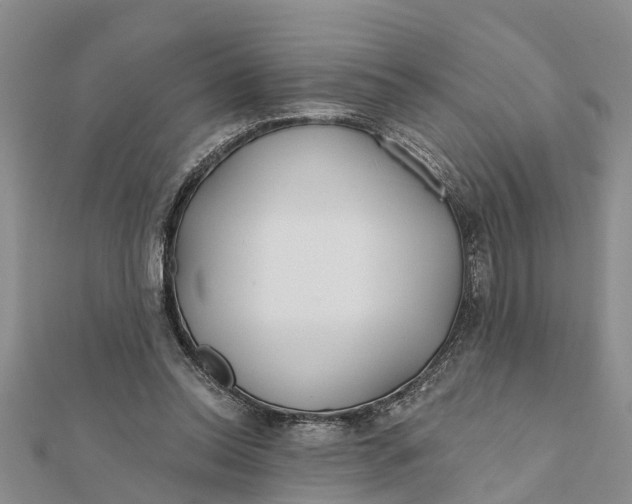 X0000112180350200908281407