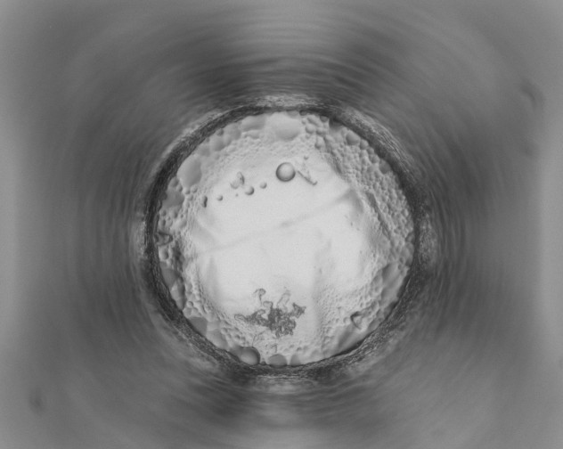 X0000112180351200908281407