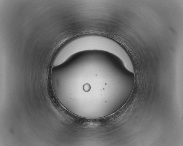 X0000112180352200908281407