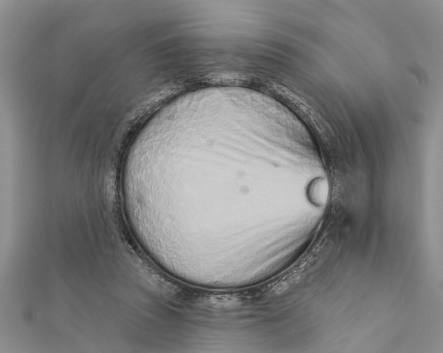 X0000112180353200908281407