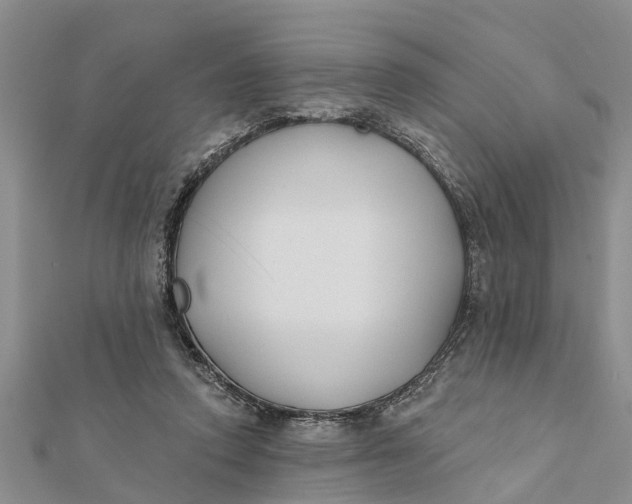 X0000112180354200908281407