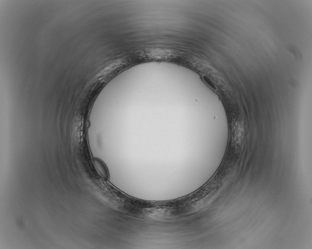 X0000112180356200908281407