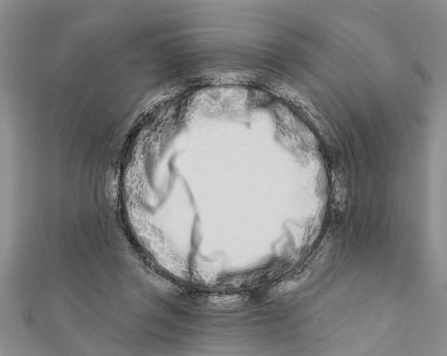 X0000112180357200908281407