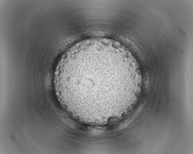 X0000112180359200908281407