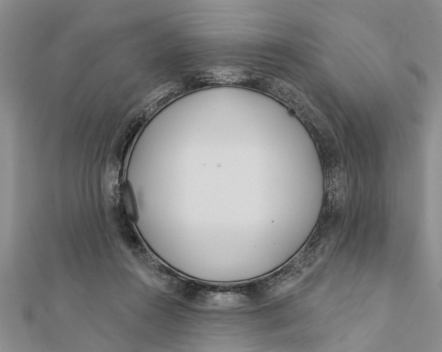 X0000112180360200908281407