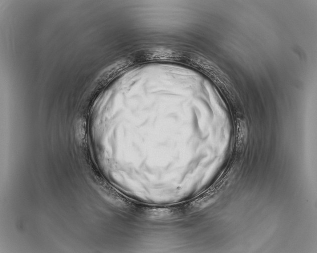 X0000112180361200908281407