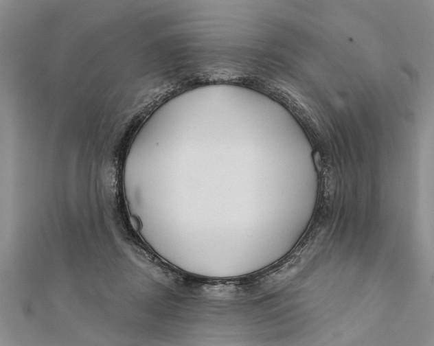 X0000112180362200908281407