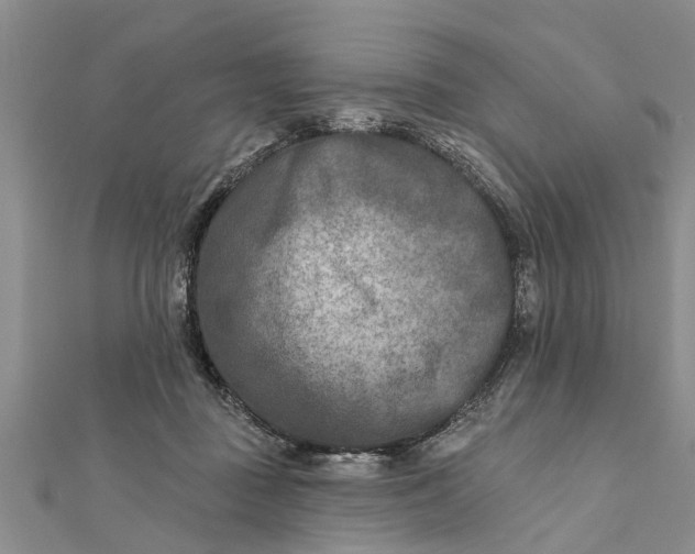 X0000112180363200908281407