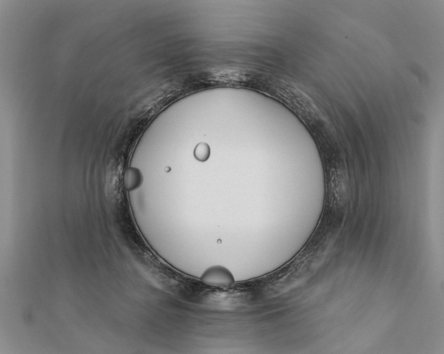 X0000112180364200908281407