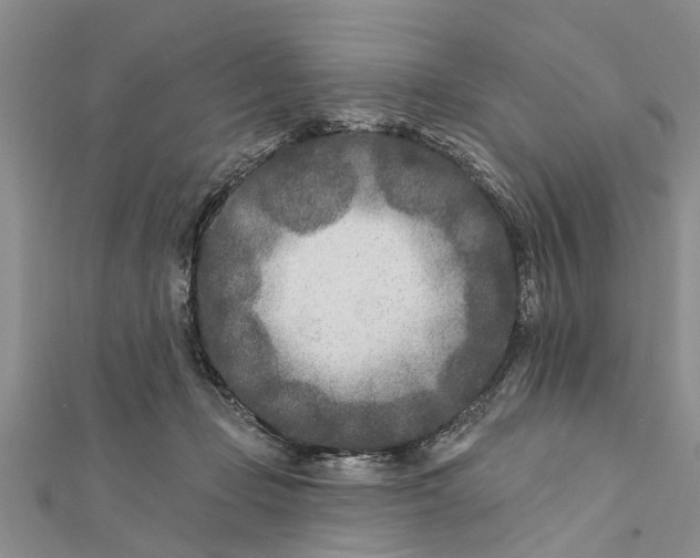 X0000112180365200908281407