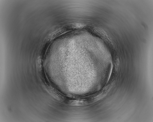 X0000112180366200908281407