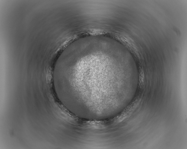 X0000112180367200908281407