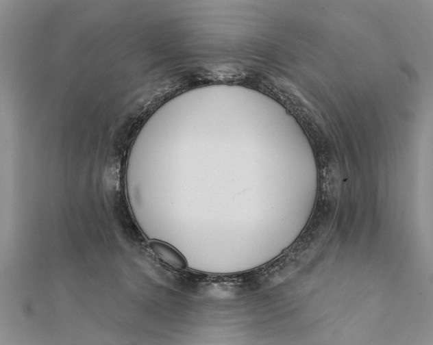 X0000112180368200908281407