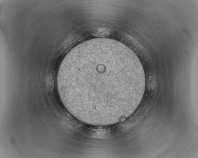 X0000112180370200908281407