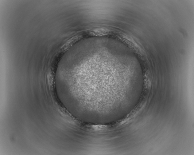 X0000112180371200908281407