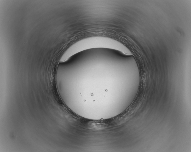 X0000112180372200908281407