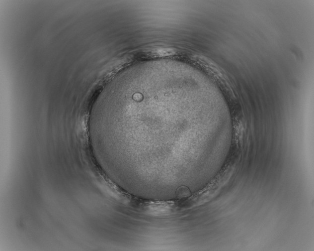 X0000112180373200908281407