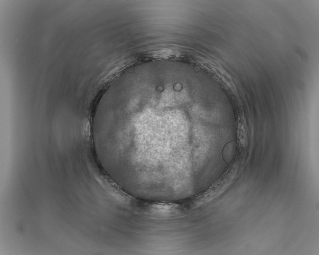 X0000112180375200908281407