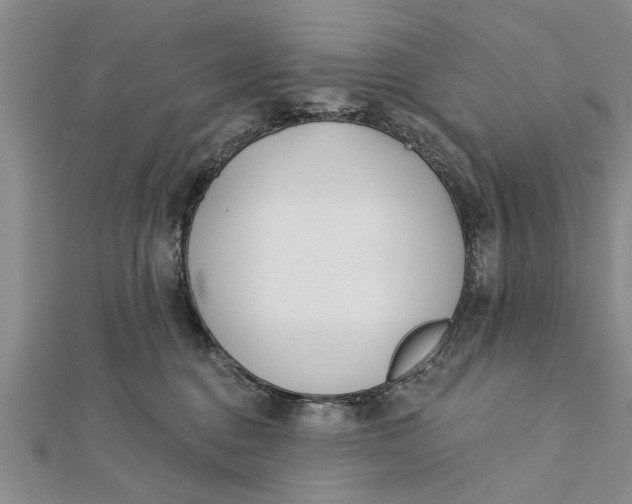 X0000112180376200908281407